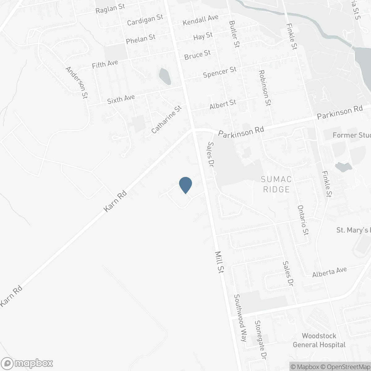 507 SPARKY'S LANE, Woodstock, Ontario N4S 0B8